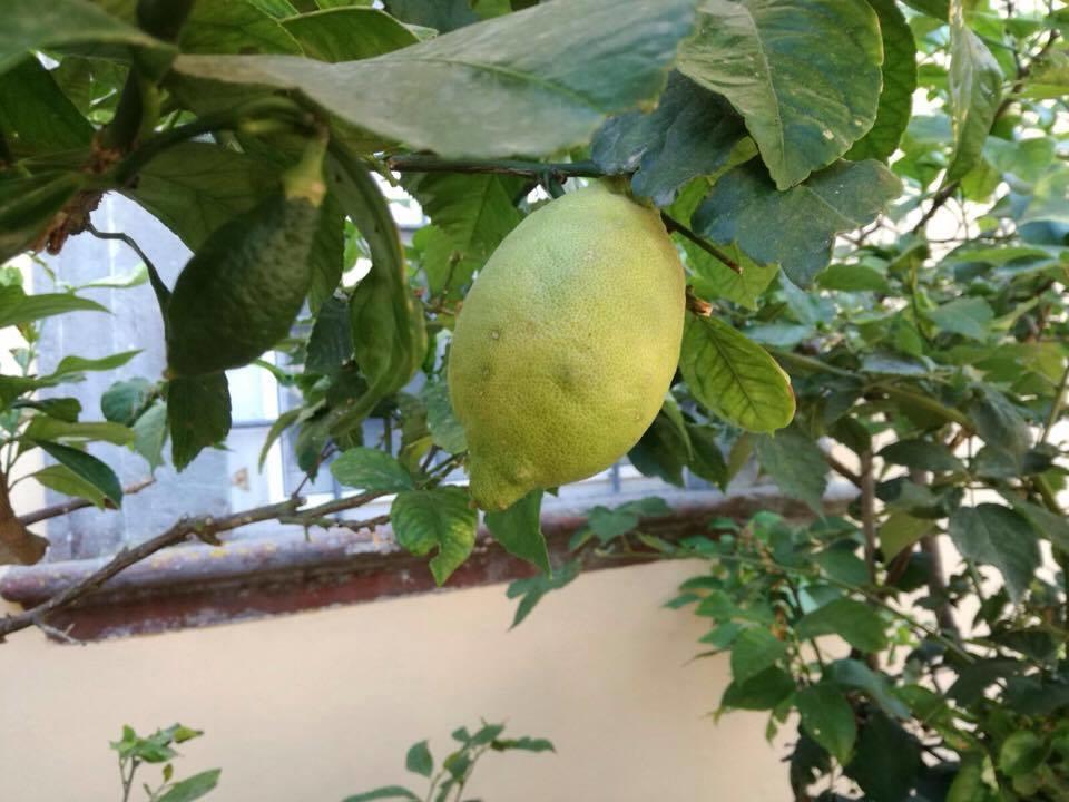 Relais Villa Poschi Pugnano 外观 照片