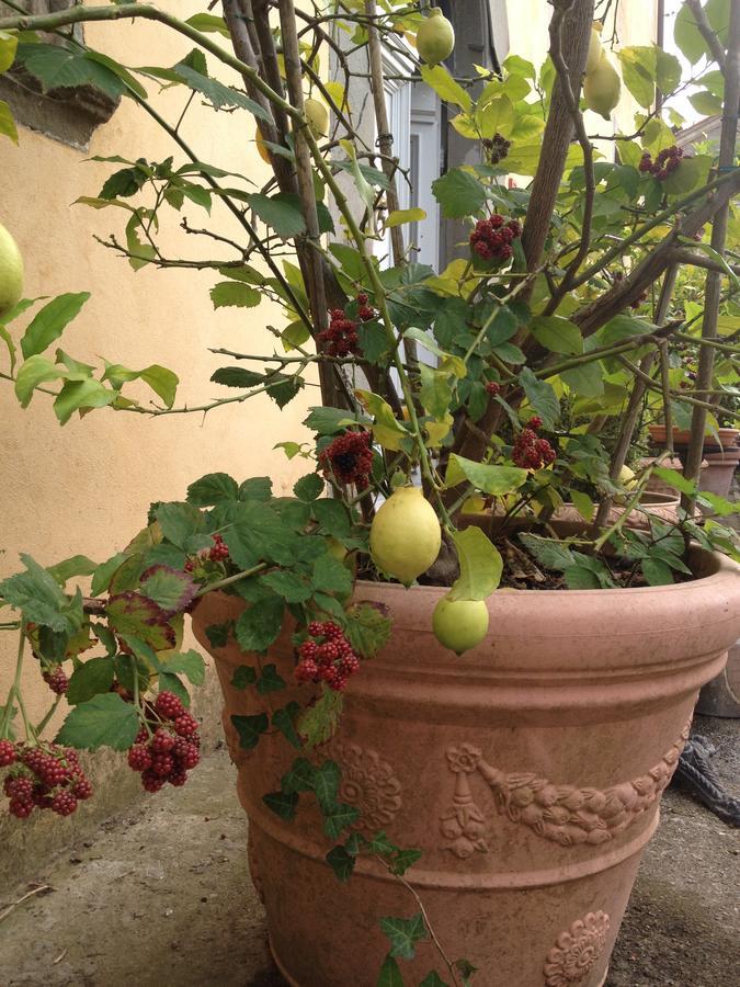 Relais Villa Poschi Pugnano 外观 照片
